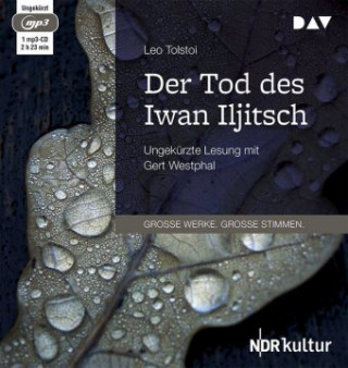 Audio Der Tod des Iwan Iljitsch Leo Tolstoi