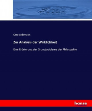 Könyv Zur Analysis der Wirklichkeit Otto Leibmann