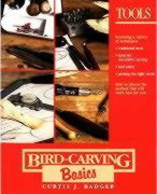 Kniha Bird Carving Basics Curtis J. Badger