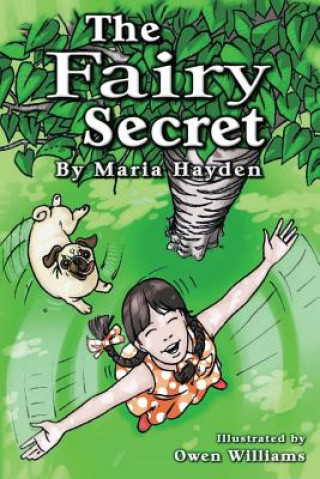 Книга Fairy Secret Maria B Hayden