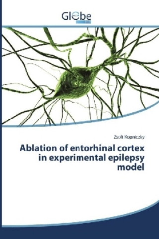 Kniha Ablation of entorhinal cortex in experimental epilepsy model Zsolt Kopniczky