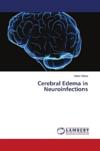 Kniha Cerebral Edema in Neuroinfections Arben Ndreu