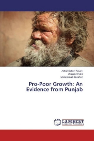 Книга Pro-Poor Growth: An Evidence from Punjab Ashar Sultan Kayani