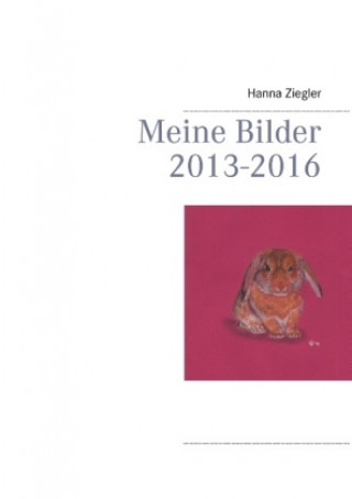 Buch Meine Bilder 2013-2016 Hanna Ziegler