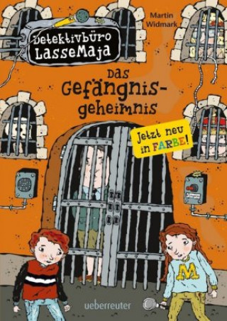 Kniha Das Gefängnisgeheimnis Martin Widmark