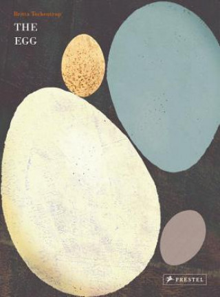 Kniha Egg Britta Teckentrup