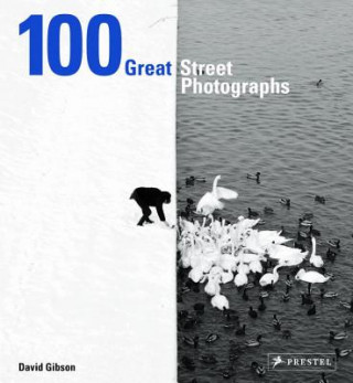 Könyv 100 Great Street Photographs David Gibson