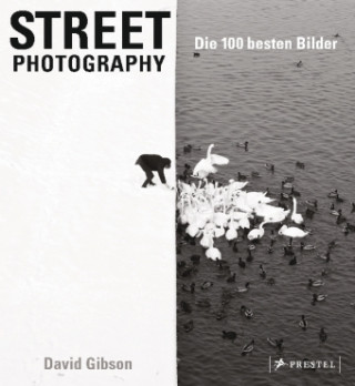 Kniha Street Photography: Die 100 besten Bilder David Gibson