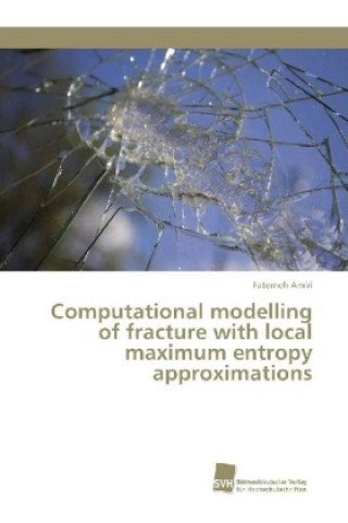 Buch Computational modelling of fracture with local maximum entropy approximations Fatemeh Amiri