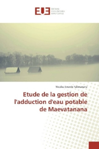 Könyv Etude de la gestion de l'adduction d'eau potable de Maevatanana Nicolas Evrarde Falimanana