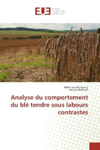 Carte Analyse du comportement du blé tendre sous labours contrastes Abdenour Belagrouz