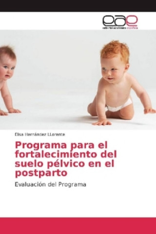 Kniha Programa para el fortalecimiento del suelo pélvico en el postparto Elisa Hernández LLorente