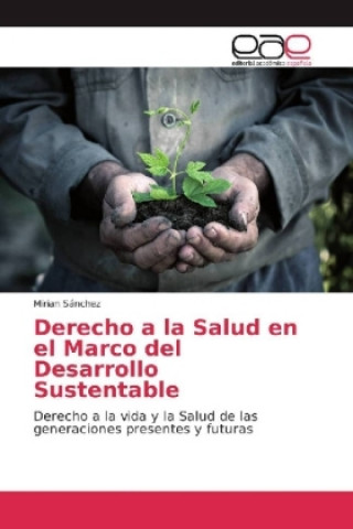 Kniha Derecho a la Salud en el Marco del Desarrollo Sustentable Mirian Sánchez