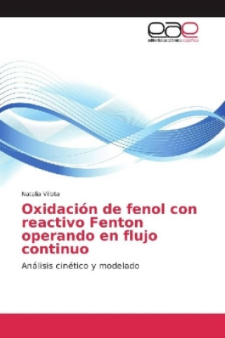 Könyv Oxidación de fenol con reactivo Fenton operando en flujo continuo Natalia Villota