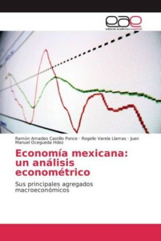 Książka Economía mexicana: un análisis econométrico Ramón Amadeo Castillo Ponce