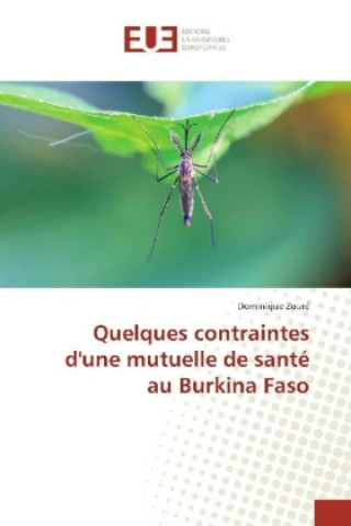 Kniha Quelques contraintes d'une mutuelle de santé au Burkina Faso Dominique Zouré