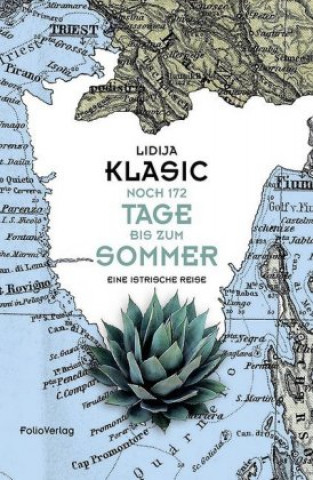 Kniha Noch 172 Tage bis zum Sommer Lidija Klasic