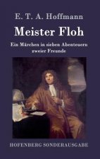 Книга Meister Floh E. T. A. Hoffmann