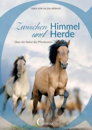 Kniha Zwischen Himmel und Herde Tanja von Salzen-Märkert