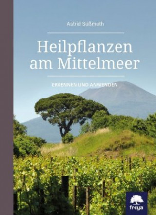 Kniha Heilpflanzen am Mittelmeer Astrid Süßmuth