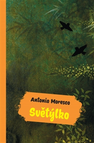 Kniha Světýlko Antonio Moresco