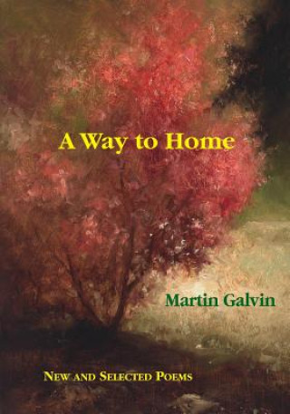 Kniha Way to Home Martin Galvin