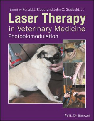 Könyv Laser Therapy in Veterinary Medicine Ronald J. Riegel