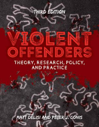 Buch Violent Offenders Matt Delisi