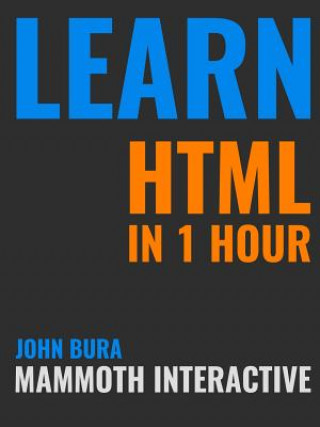 Kniha Learn HTML in 1 Hour John Bura