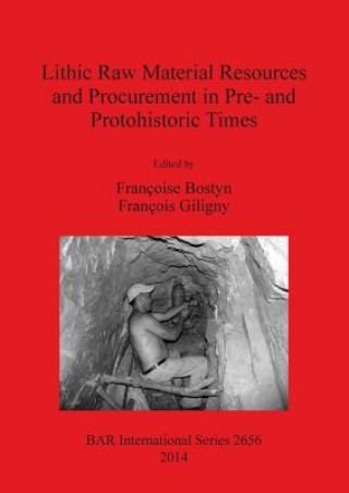 Book Lithic Raw Material Resources and Procurement in Pre- and Protohistoric Times Uispp Commission on Flint Mining in Pre