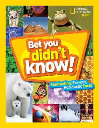 Kniha Bet You Didn't Know! National Geographic Kids