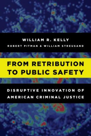 Kniha From Retribution to Public Safety William R. Kelly