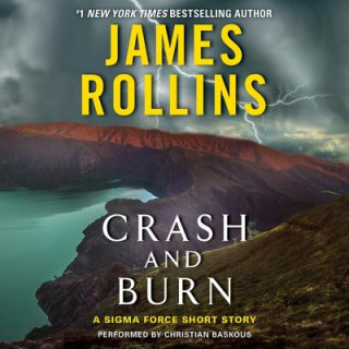 Audio CRASH & BURN                2D James Rollins