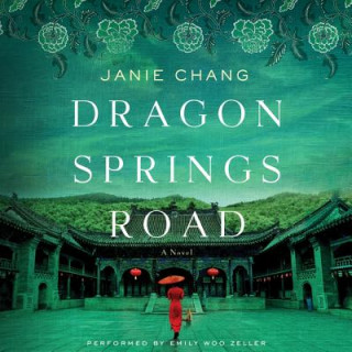 Digital Dragon Springs Road Janie Chang