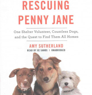 Audio Rescuing Penny Jane: One Shelter Volunteer, Countless Dogs, and the Quest to Find Them All Homes Amy Sutherland