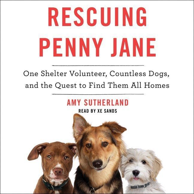 Digital Rescuing Penny Jane: One Shelter Volunteer, Countless Dogs, and the Quest to Find Them All Homes Amy Sutherland