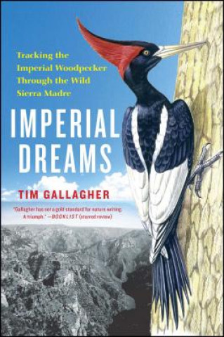 Книга Imperial Dreams Tim Gallagher
