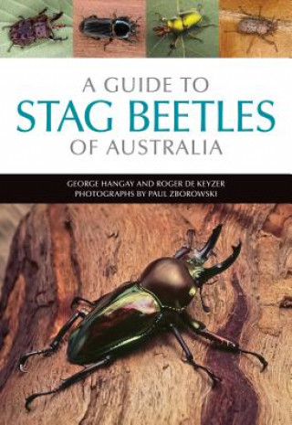 Book Guide to Stag Beetles of Australia George Hangay