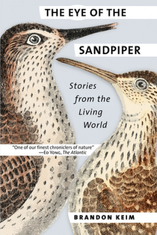 Kniha Eye of the Sandpiper Brandon Keim