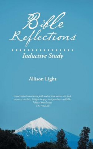 Книга Bible Reflections Allison Light