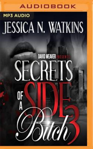 Digital SECRETS OF A SIDE BITCH 3    M Jessica N. Watkins