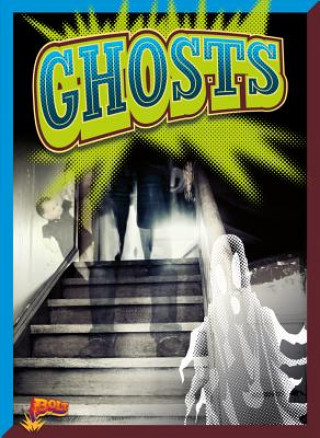 Book GHOSTS Elizabeth Noll