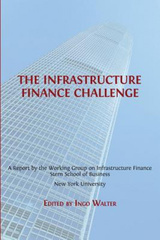 Buch Infrastructure Finance Challenge Ingo Walter