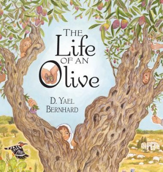 Kniha LIFE OF AN OLIVE D. Yael Bernhard