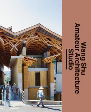 Kniha Wang Shu and Amateur Architecture Studio Michael Juul Holm