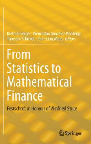 Kniha From Statistics to Mathematical Finance Dietmar Ferger