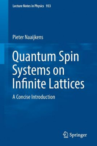 Könyv Quantum Spin Systems on Infinite Lattices Pieter Naaijkens