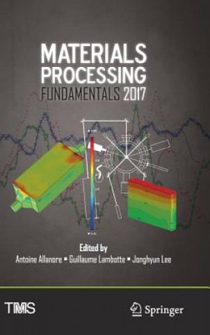 Knjiga Materials Processing Fundamentals 2017 Antoine Allanore