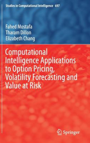 Kniha Computational Intelligence Applications to Option Pricing, Volatility Forecasting and Value at Risk Fahed Mostafa