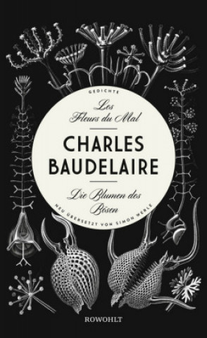 Книга Les Fleurs du Mal - Die Blumen des Bösen Charles Baudelaire